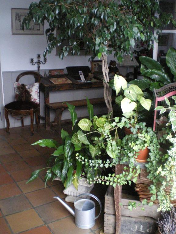 ブランザック Au Bon Gre D'Hugoline Bed & Breakfast エクステリア 写真